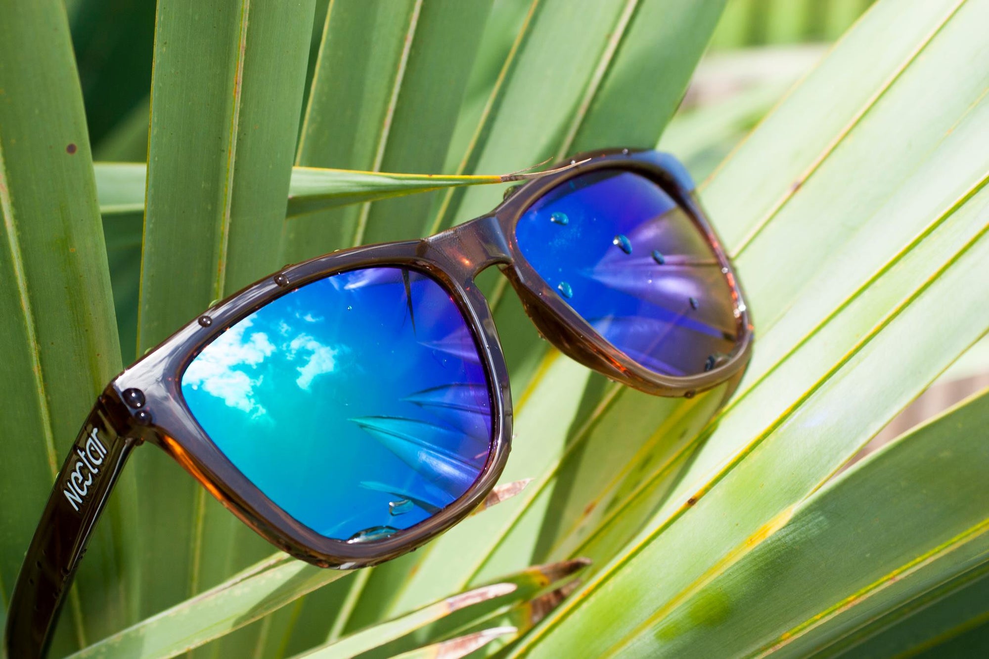 Taking Our Quality To The Next Level