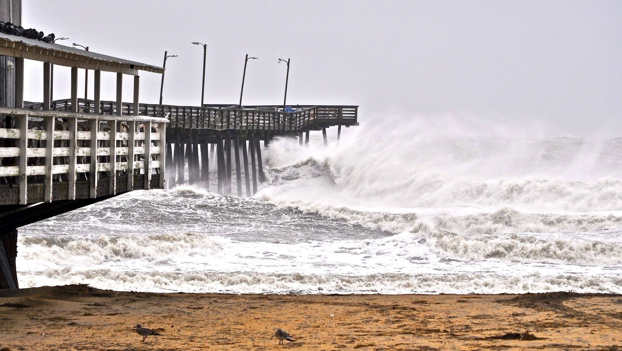 Hurricane Matthew's Provides The Destruction & The Goods