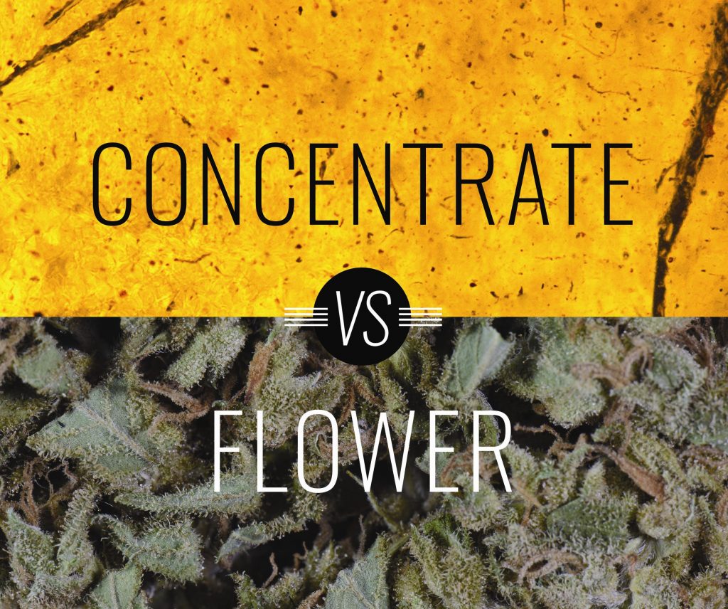 Flowers or Concentrates ?
