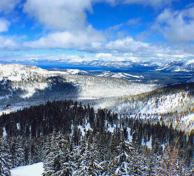 Views From Our Lake Tahoe Session