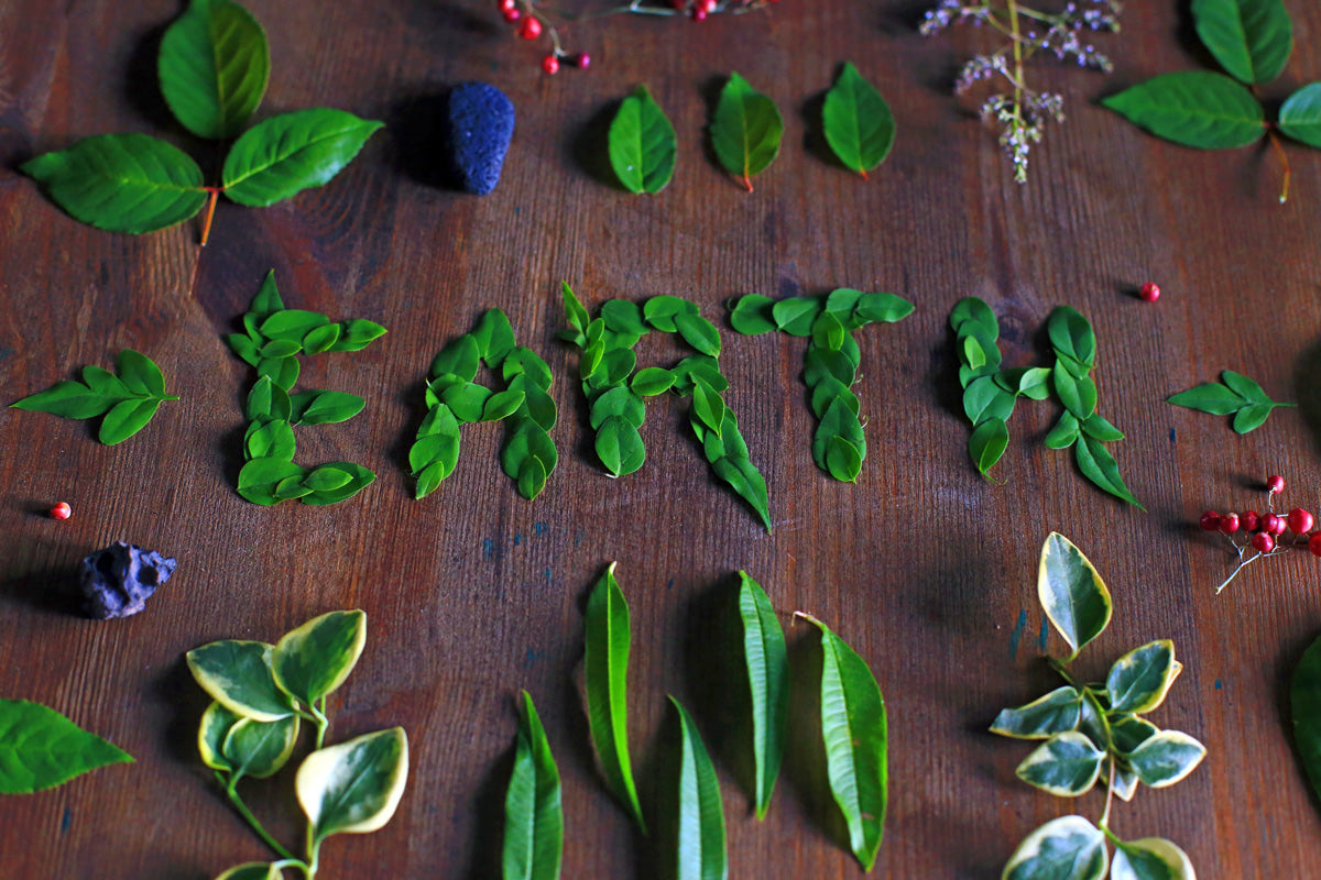 10 ways to help the planet for Earth Day