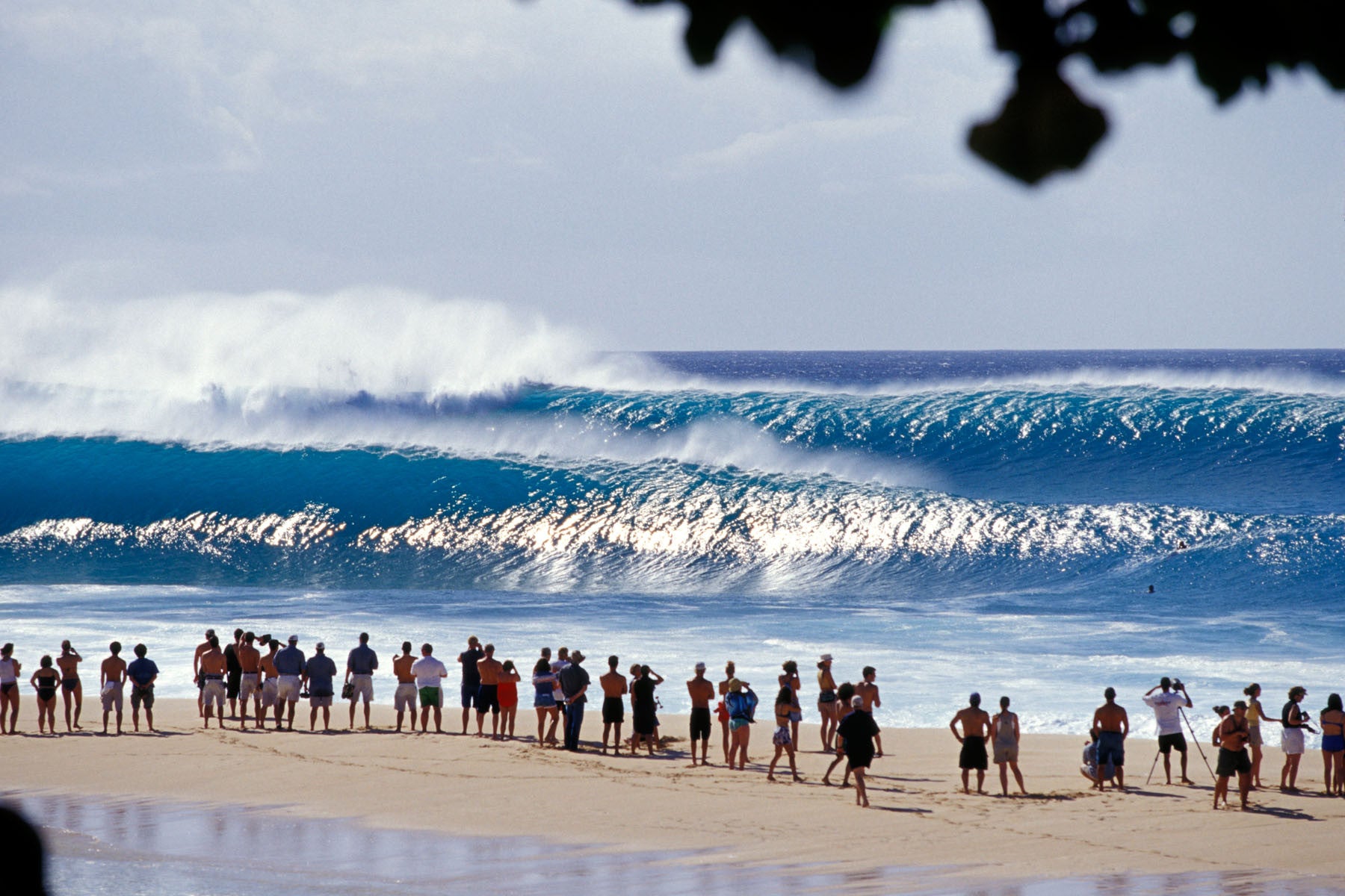 Brown Bear Visuals Cuts A Dope Pipeline Edit