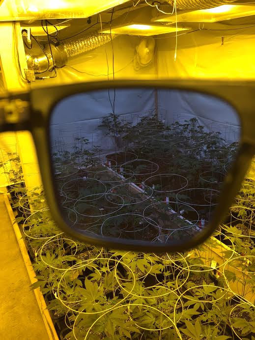 TOP FIVE SHADES FOR 420 GROWERS