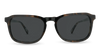 #color_dark-oyster-frame-smoke-lens