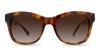 #color_amber-tortoise-frame-gradient-amber-lens