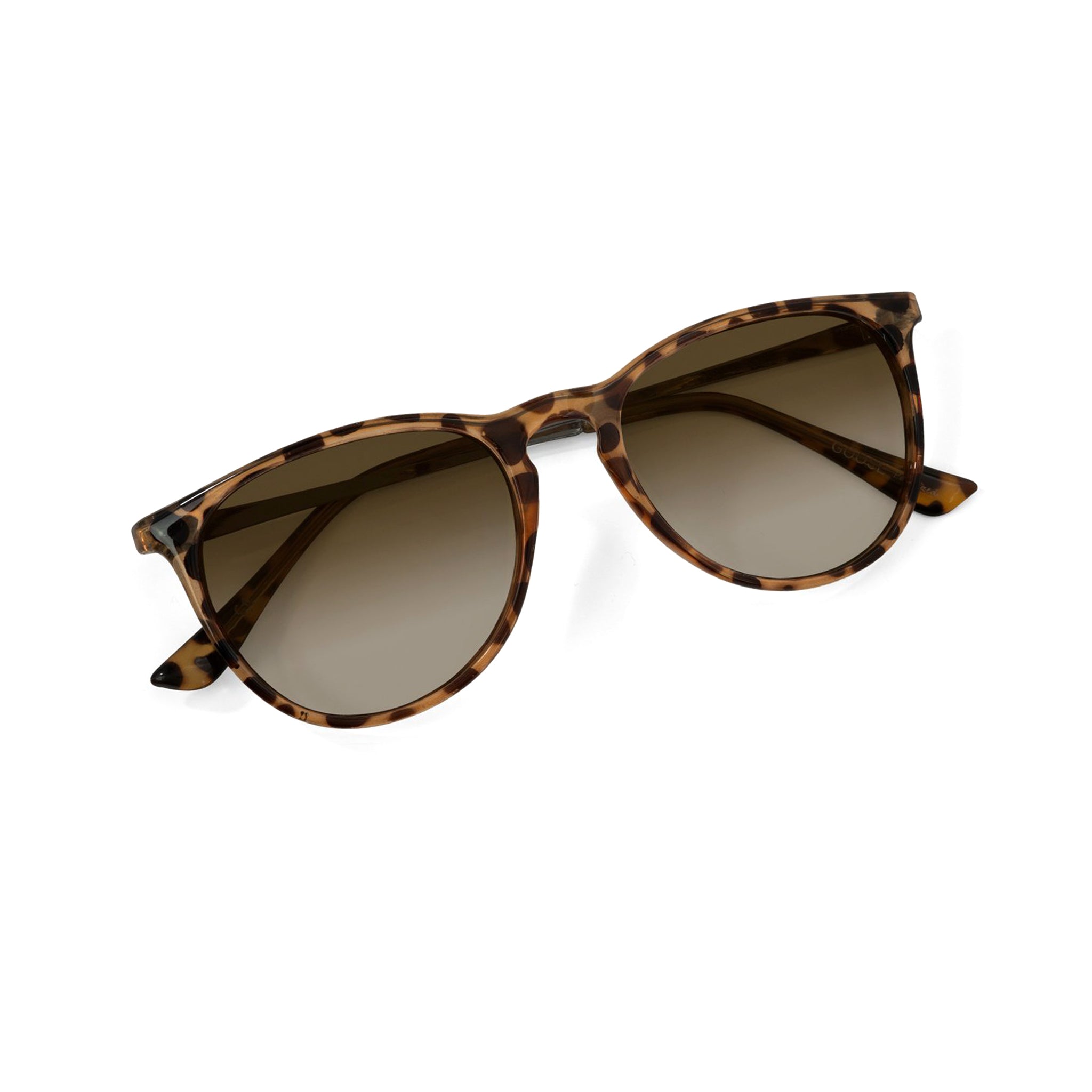 Shockoe Sunglasses