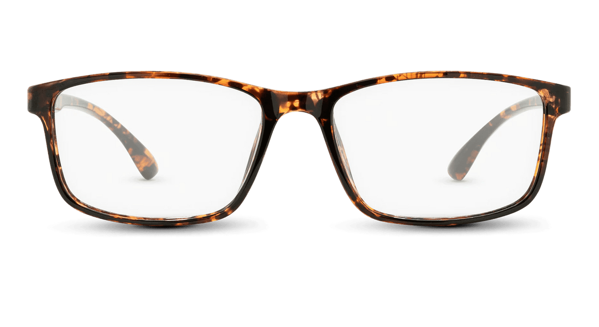 Raleigh Nectar Sunglasses