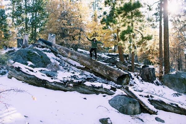 Wreck Welcomes Dave Bachinsky