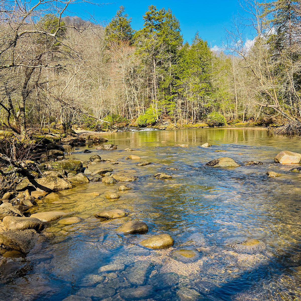 Green River in North Carolina