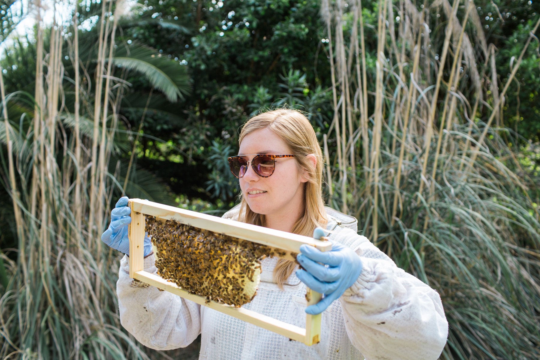 Advice from a pro backyard beekeeper