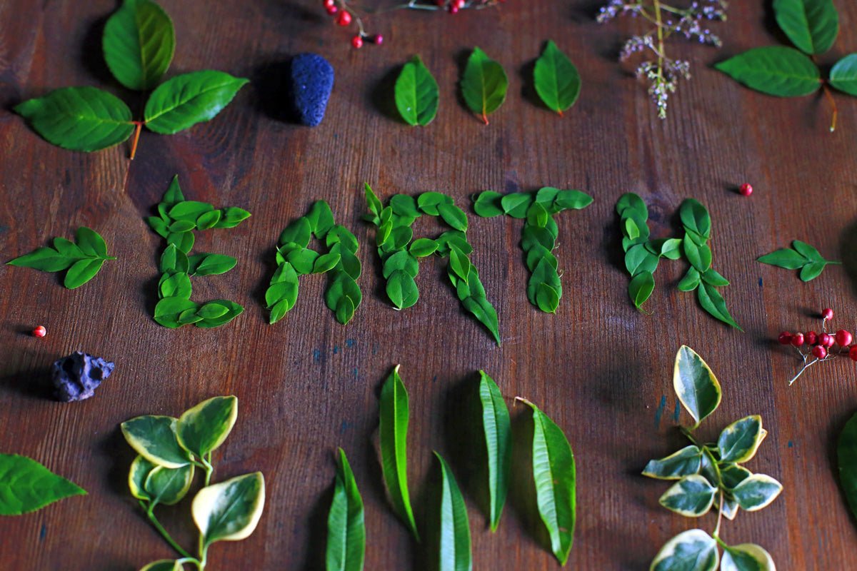 10 ways to help the planet for Earth Day