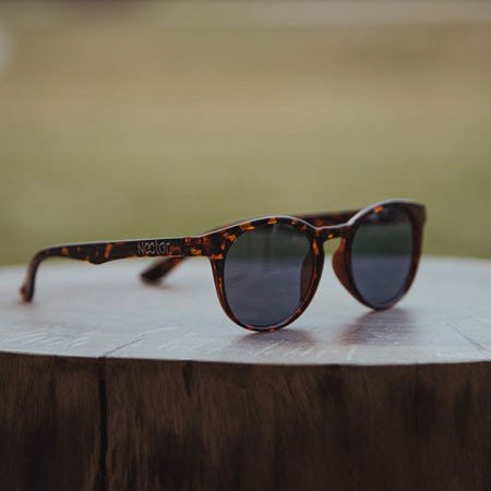 5 pairs of sunglasses perfect for summer