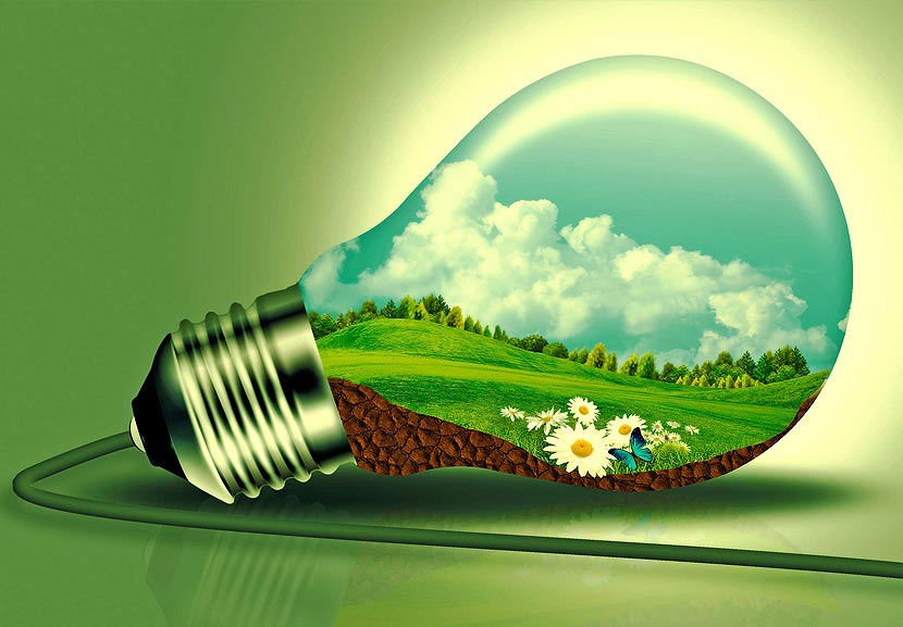 Eco Friendly Products for Surfing