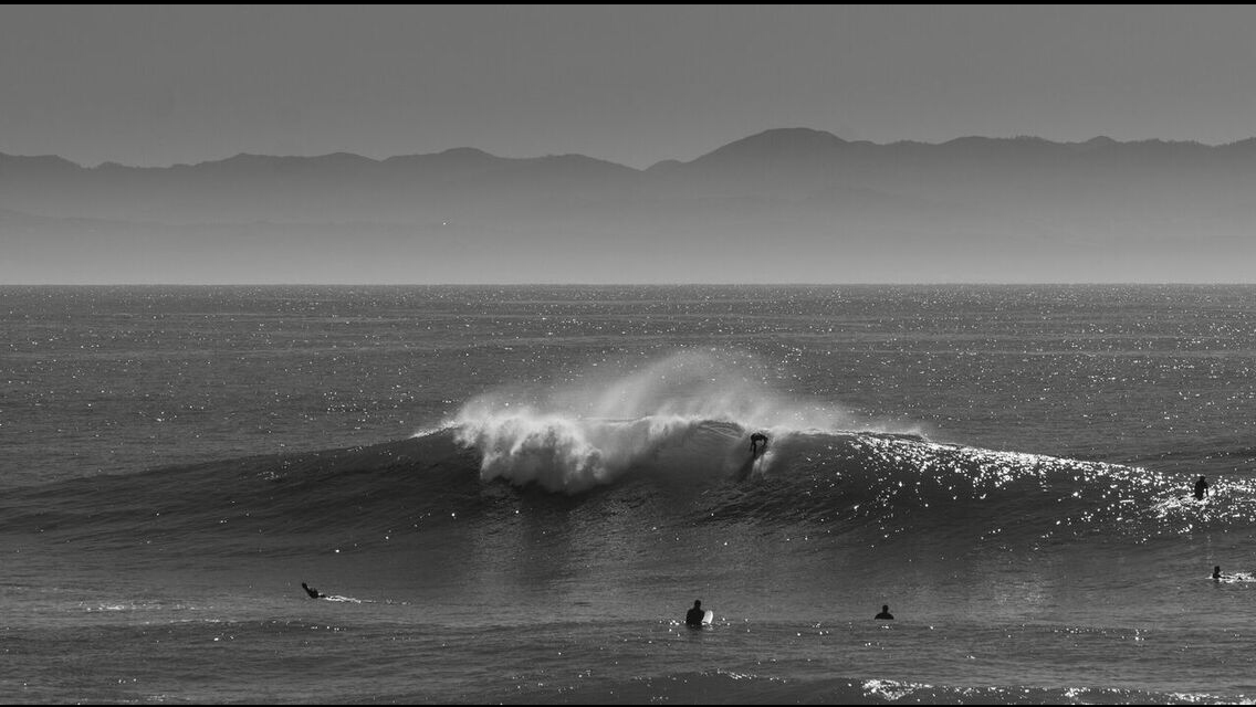 NECTAR WAS AT STEAMER LANE...WERE YOU?