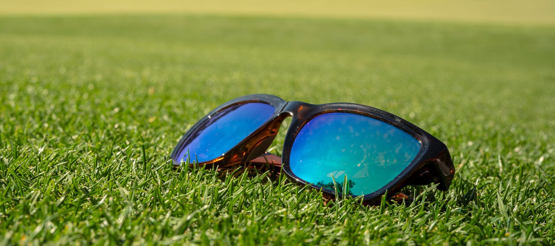 Polarized Golf Sunglasses - Nectar