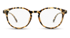 #color_brown-tortoise