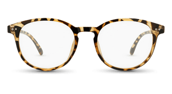 #color_brown-tortoise