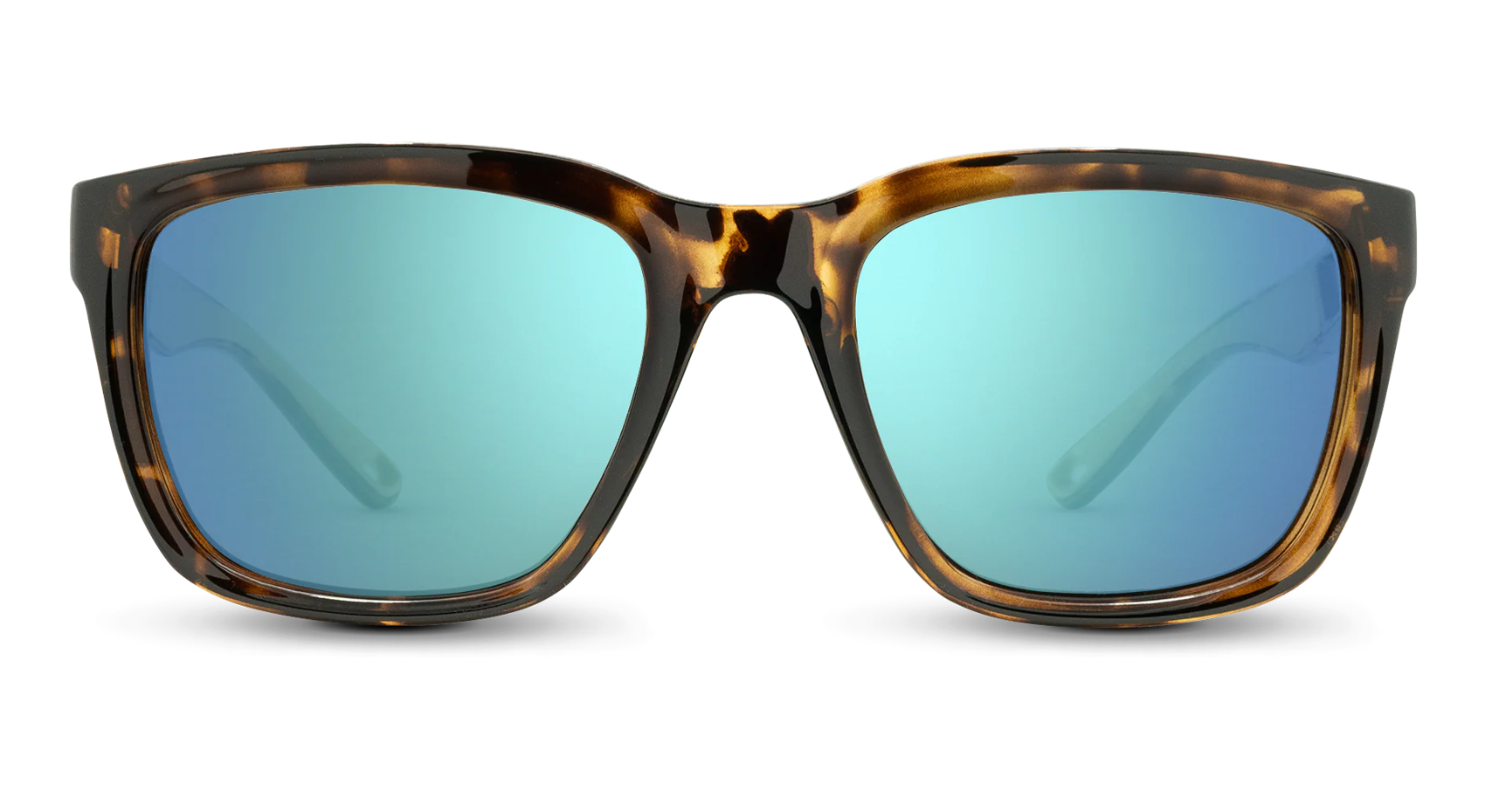 #color_brown-tortoise-frame-blue-lens