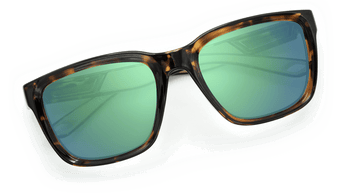 #color_brown-tortoise-frame-green-lens