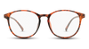 #color_red-tortoise