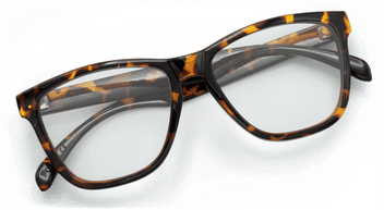 #color_brown-tortoise