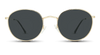 #color_gold-metal-frame-black-lens