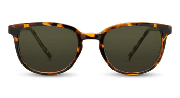 #color_brown-tortoise-frame-g15-lens