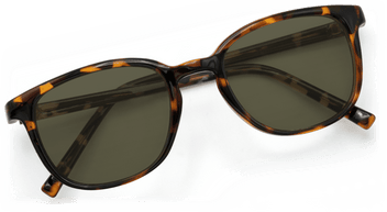 #color_brown-tortoise-frame-g15-lens