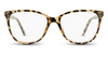 #color_shiny-brown-tortoise-frame
