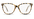 #color_shiny-brown-tortoise-frame