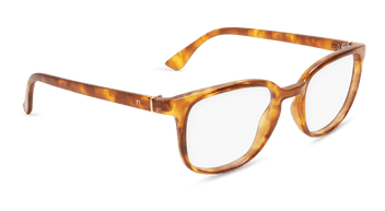 #color_honey-tortoise