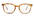 #color_honey-tortoise