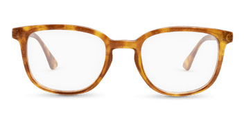 #color_honey-tortoise