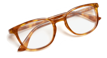 #color_honey-tortoise