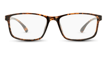 #color_fire-tortoise