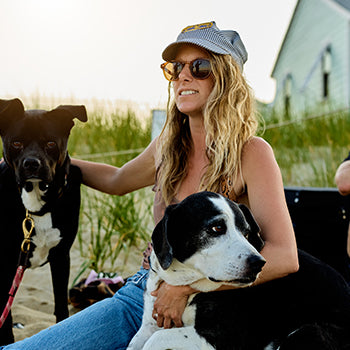 Harper's Ferry Collection from Nectar Sunglasses
